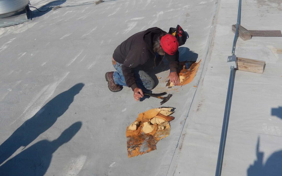 Forensic Roof Investigations: Uncovering the Truth About Roof Failures